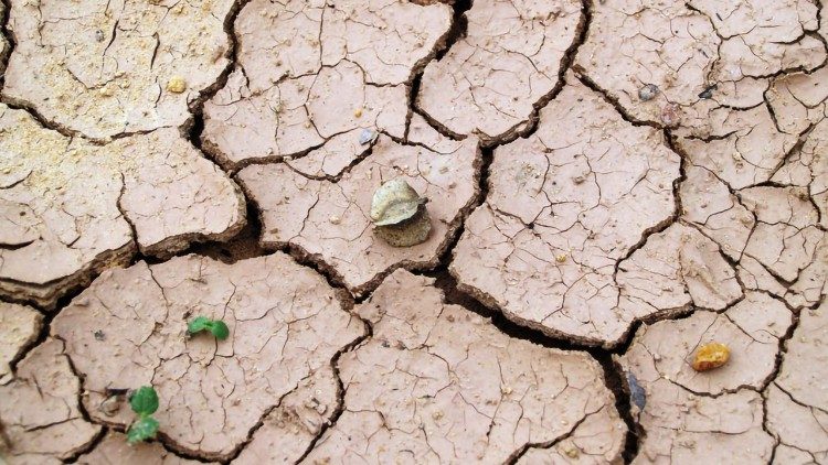 Terreno spaccato dalla siccità e dai cambiamenti climatici 