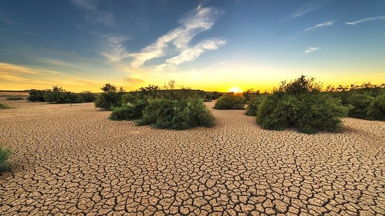 Terreno árido devido à seca e às mudanças climáticas