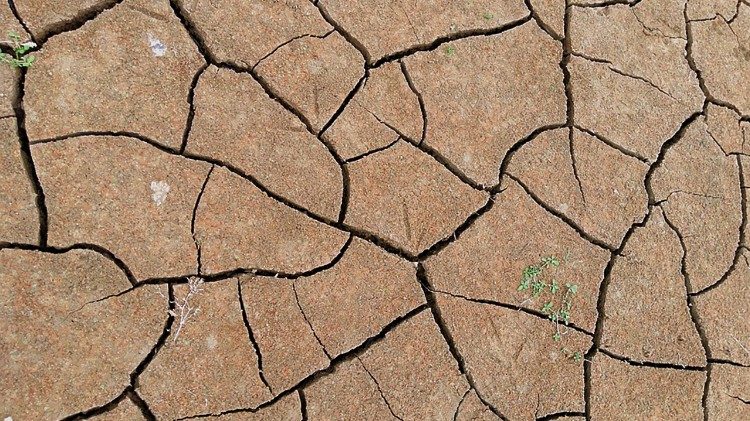 Dürre führte zu Ernteausfällen; zwischendruch gab es Platzregen, die Boden abtrugen