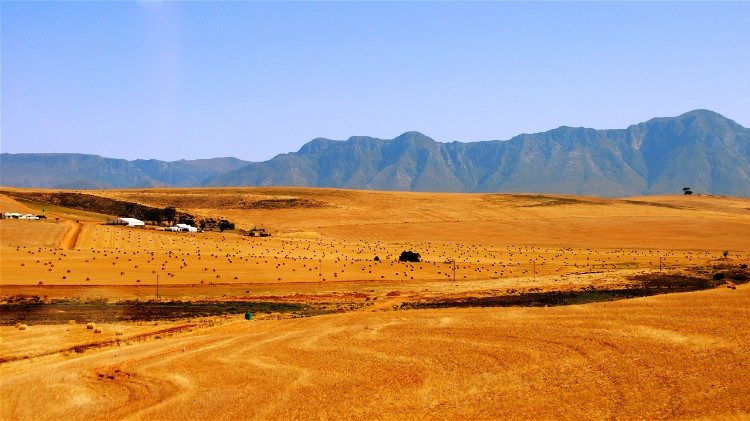 Farmlands in rural South Africa 