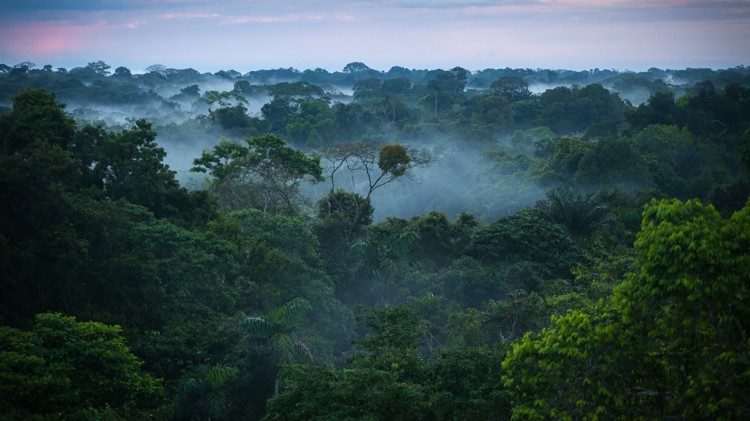 Амазонската джунгла