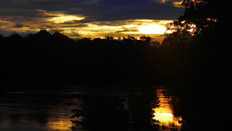 Amazônia, Rio Negro. Foto de Luis Modino