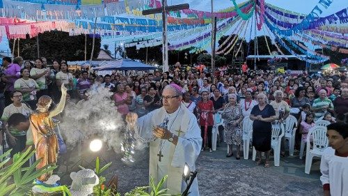 Amazonas-Bischof: „Vielleicht in zehn Jahren Viri probati“