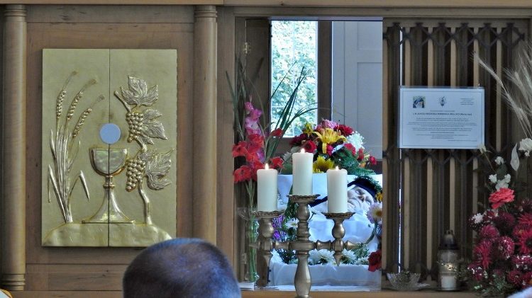 Pogrebno sveto mašo in pogreb v karmelu v Mirni Peči je vodil msgr. Andrej Glavan