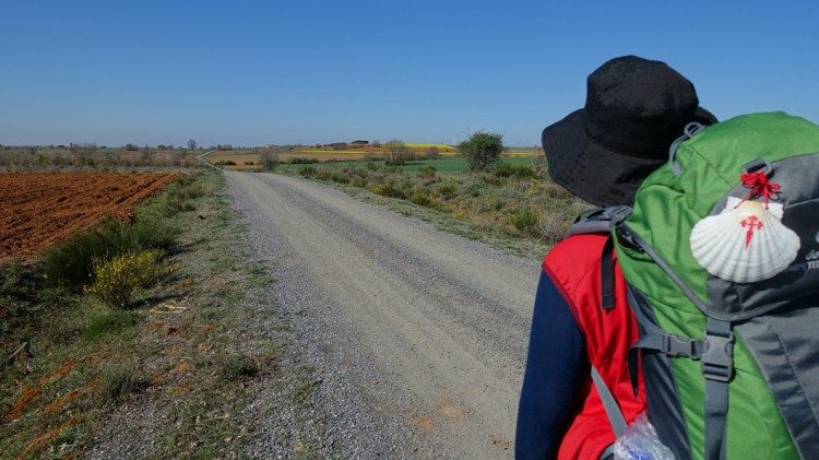 A pilgrim walking along the Camino de Santiago