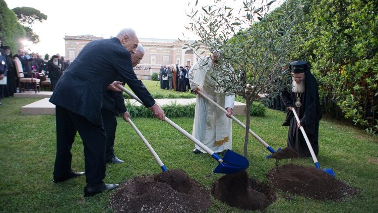 Popiežius su Baltramiejumi I, Izraelio ir Palestinos prezidentais Peresu ir Abbasu sodina taikos alyvmedį Vatikano soduose