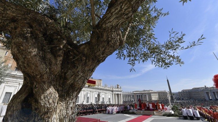 Célébration des Rameaux et de la Passion du Seigneur, dimanche 25 mars 2018, place saint-Pierre de Rome. 