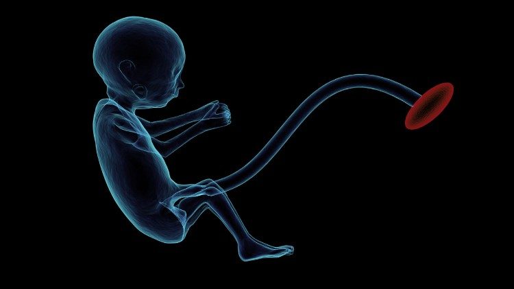 Extreme Abtreibungsgegner schaden dem Lebensrecht des Embryos eher.