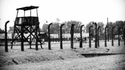 concentration-camp-1164562 (1).jpg