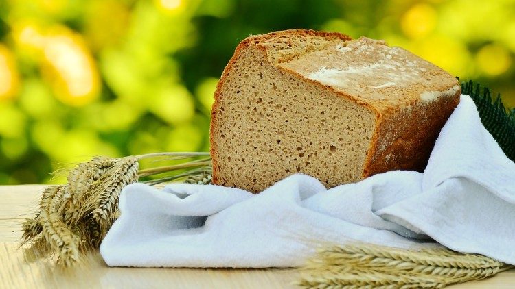 Pane e grano - illustrazione al vangelo della domenica