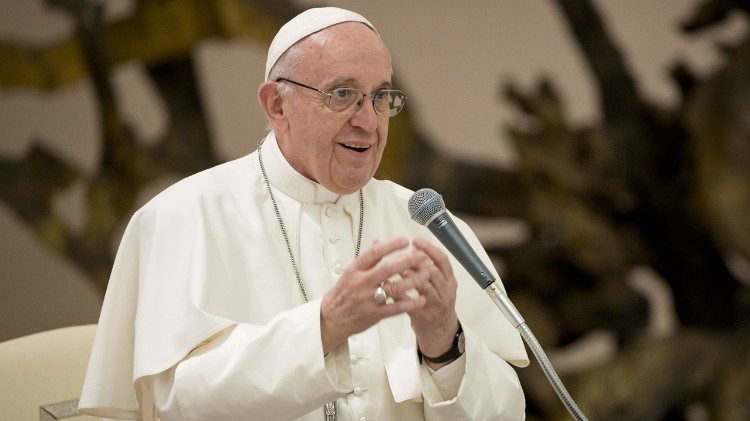 Papst Franziskus hat einen Administrator für die brasilianische Diözese Formosa ernannt