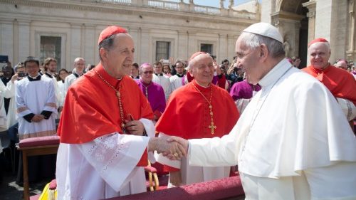 Vatikan zu Pfarreireformen: Auch Weltkirche im Blick behalten