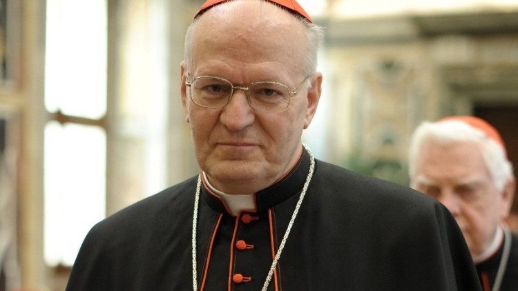 cardinale Erdo Peter