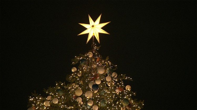 Estrela brilha no alto do pinheiro de Natal iluminado na tarde desta quinta-feira na Praça São Pedro