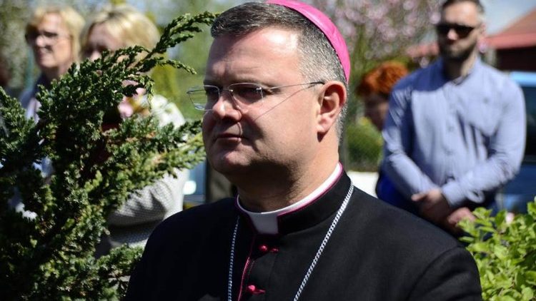 Biskup Wiesław Śmigiel v Dublinu na Světovém setkání rodin