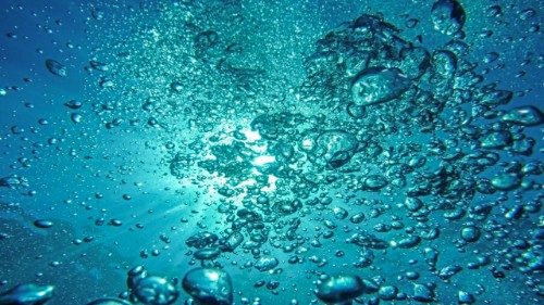 Agua: claves para proteger el "bien primordial" que da vida
