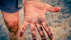 hand-3588162_960_720.jpg