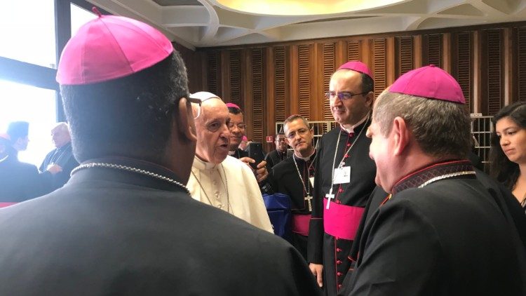 Papa s brazilskim biskupima