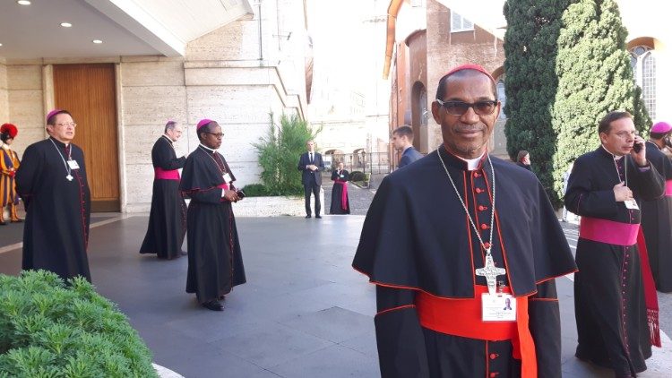 Card. Arlindo Gomes Furtado, Bispo de Santiago, Cabo Verde