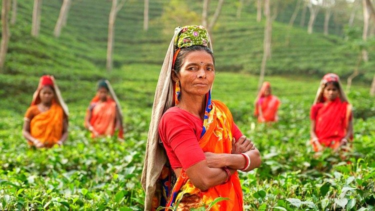 Rural women make up 43% of agricultural work force in developing countries.