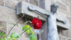 20181021_vangelo di domenica_Pixabay_per servire e dare la propria vita.jpg