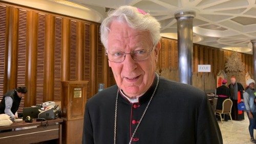 Il vescovo belga Van Looy rinuncia al cardinalato