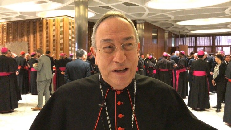 Kard. Maradiaga: synod odkrywa duszpastersko „Laudato sì”