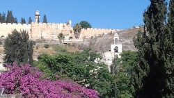 Terra Santa - Mura dio Gerusalemme e chiesa di Santo stefano.jpg