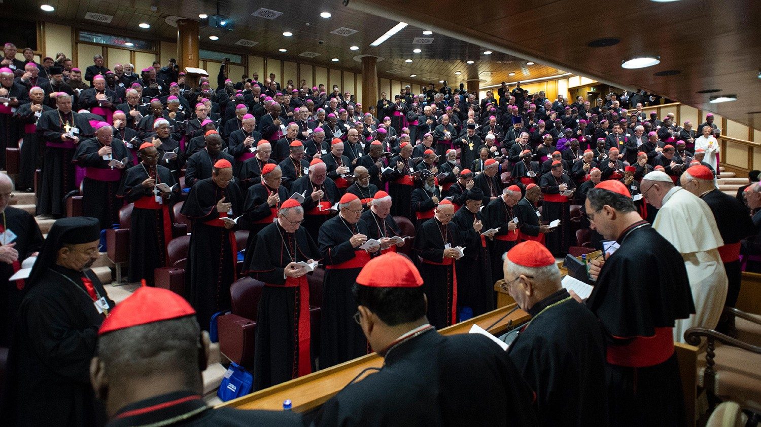 What is a Synod of Vatican News