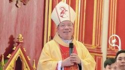 Mons Joseph Vu Van Thien Arcivescovo di Ha Noi Vietnam.jpg