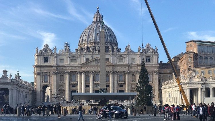 Na placu św. Piotra stanęła bożonarodzeniowa choinka