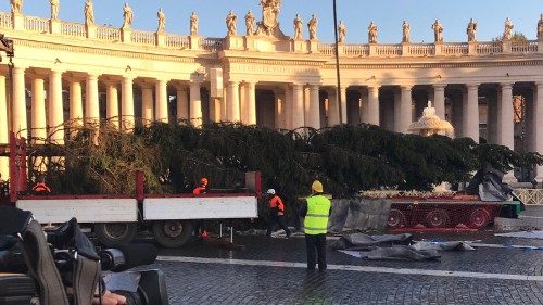 Vaticano: el pesebre de arena y el árbol de la ciudad de Pordenone
