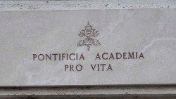 2019.01.21 Vaticano, Pontificia Academia Pro Vita.JPG