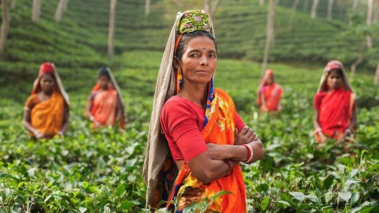 Donne indiane nei campi agricoli