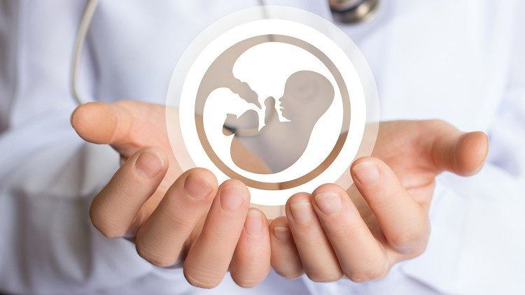 В защита на неродения живот