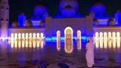 2019-02-02 Moschea Abu-Dhabi 04.JPG