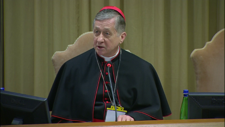 Cardinal Blase Cupich delivers his presentation at the Meeting on Protection of Minors in the Church