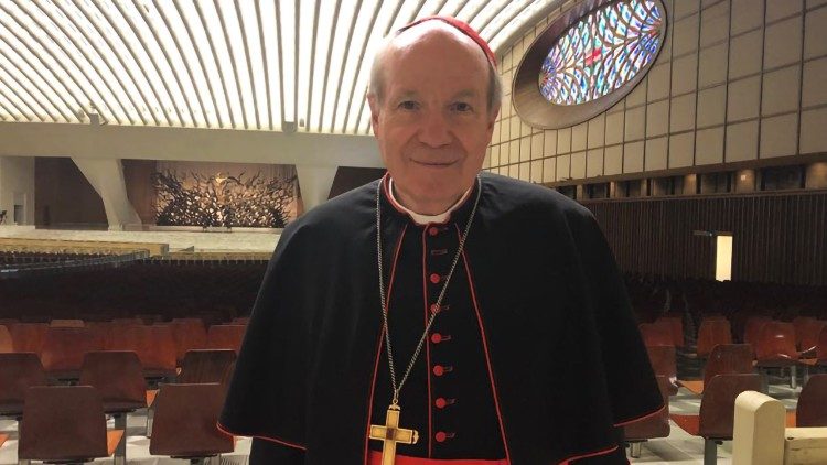 Cardinal Christoph Schonborn, pictured here in the Vatican's Paul VI Hall