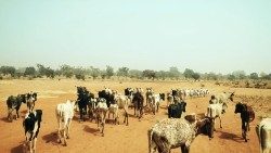 Africa Burkina Faso siccità 2.JPG