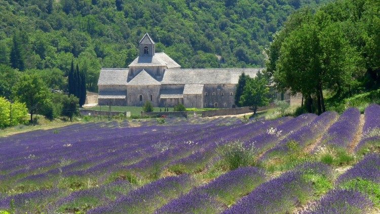 L'abbaye de Sénanque.