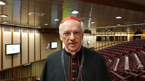 Protection des mineurs : un problème de l’Eglise et de la société, selon le Cardinal Kesel 