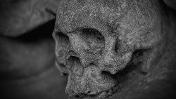 skull-and-crossbones-77950_1920.jpg