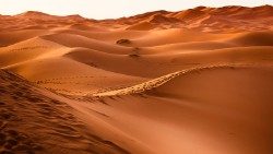 desert-1270345_1920.jpg