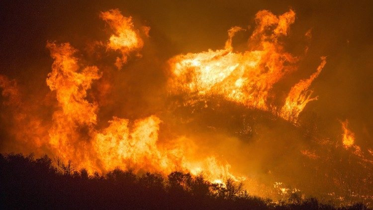 O incêndio no bosque de Calci