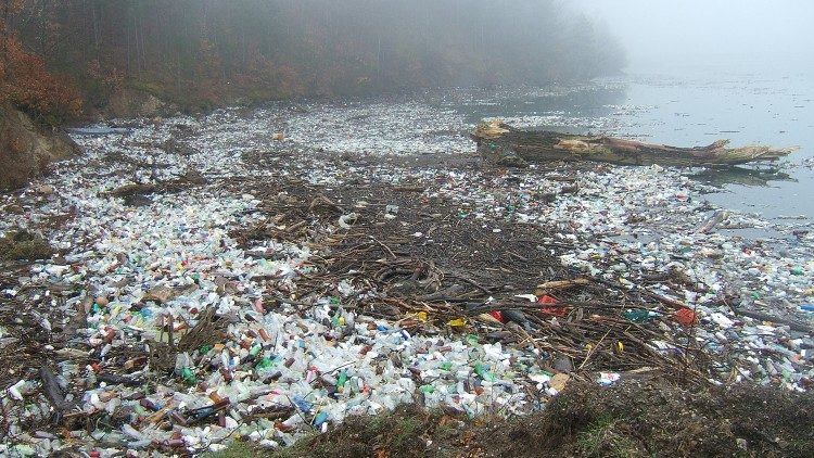 Nhựa bị bỏ quên trong thiên nhiên