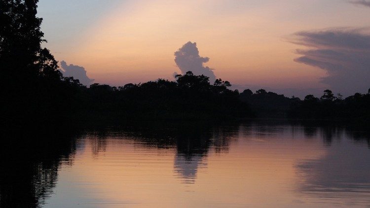Amazonski krajolik u sumrak