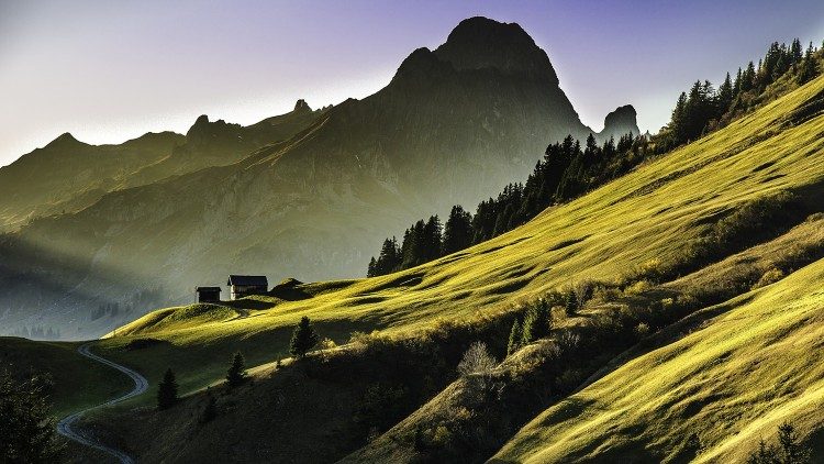 Grüne Landschaft: Vorarlberg liegt im Westen Österreichs.