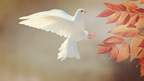 Քահանայապետական թուիթը «Մէկ Վայրկեան խաղաղութեան համար» ձեռնարկի առթիւ