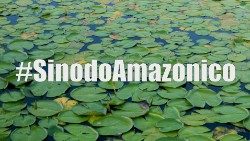 Sinodo Amazonico.jpg