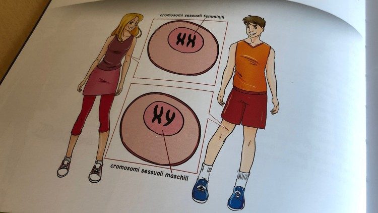 Учебник за сексуалното възпитание, Città Nuova